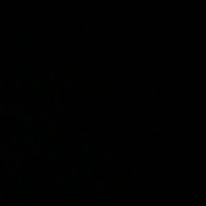 Meet your Posher, Maya